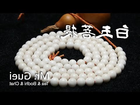 菩提根 功效